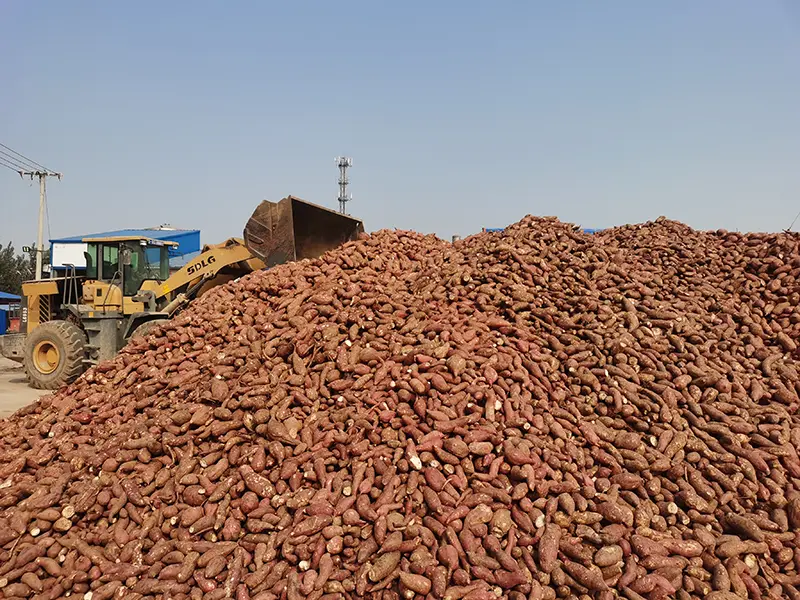 2.5kg Bag Sweet Potato Vermicelli